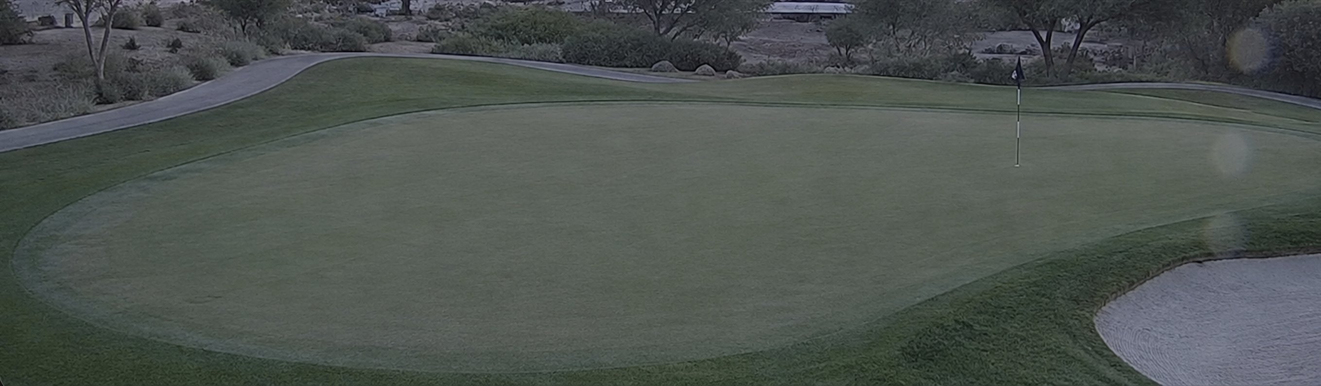 Security camera capture of the green, empty, birds gone